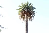 Santa Barbara Travel Guide: Beaches, Sights and Itineraries