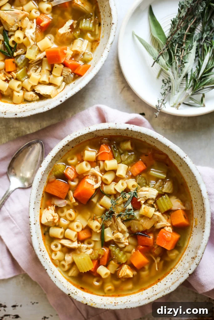 Herbed Chicken Noodle Soup