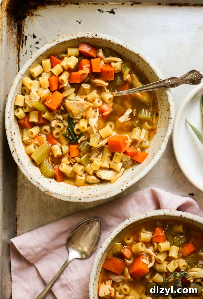 Herbed Chicken Noodle Soup