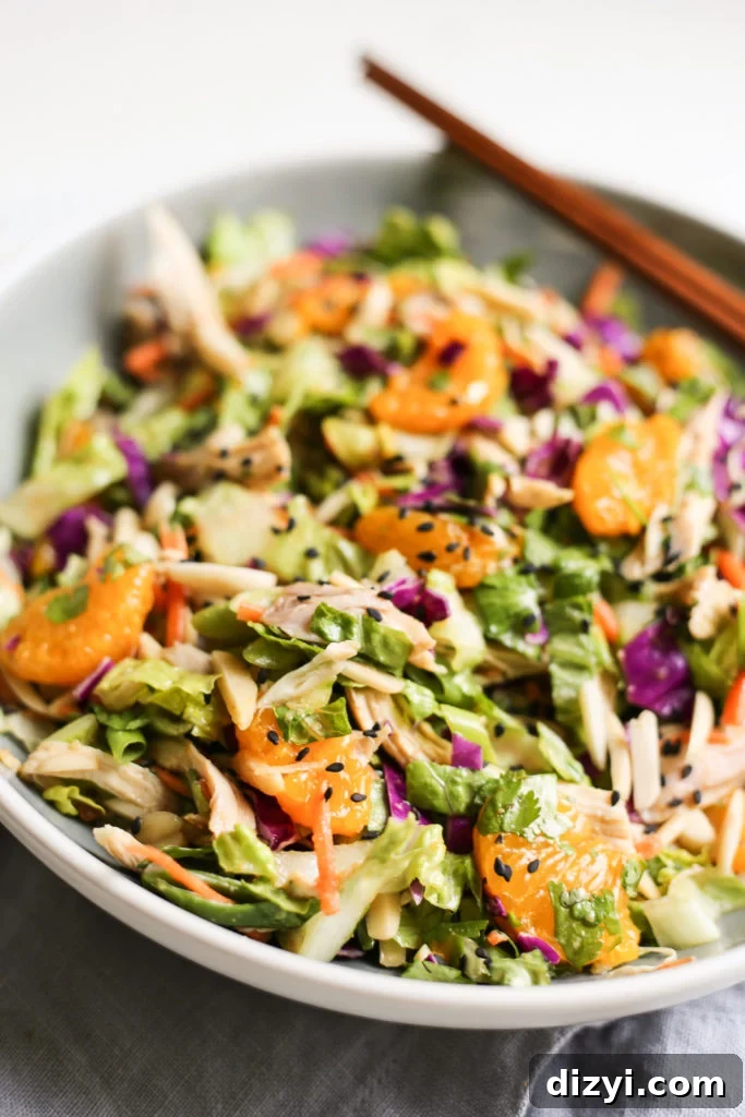 Chopped Asian Chicken Salad with Peanut Dressing 4 img 10289 3