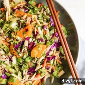 Chopped Asian Chicken Salad with Peanut Dressing 5 img 10289 4