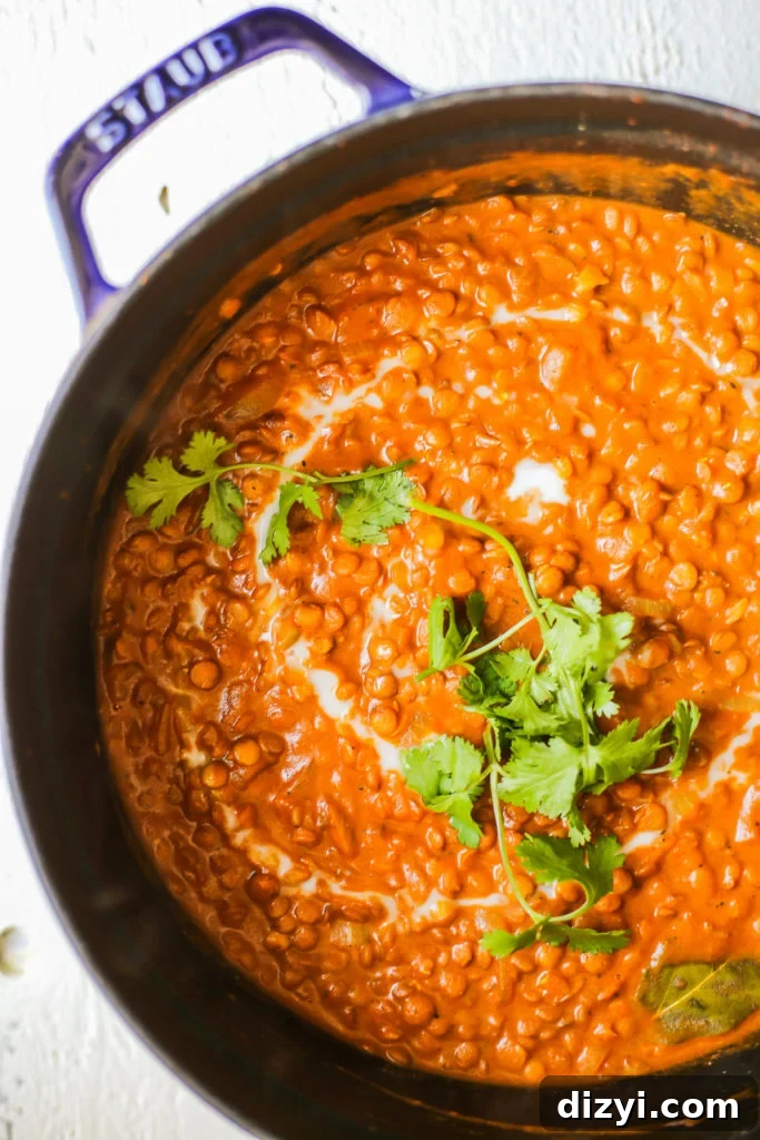 Tikka Masala Lentils