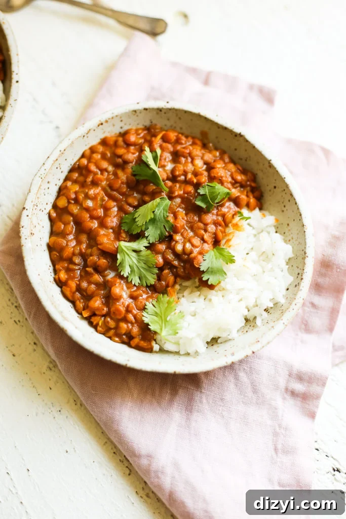 Tikka Masala Lentils plated