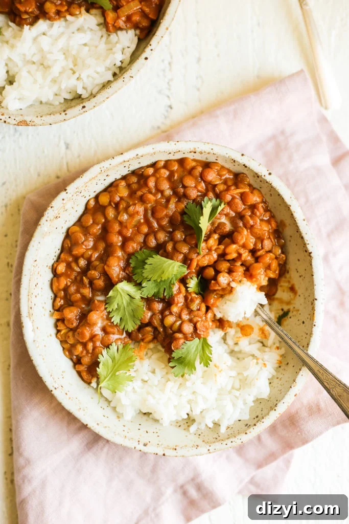 Tikka Masala Lentils closeup