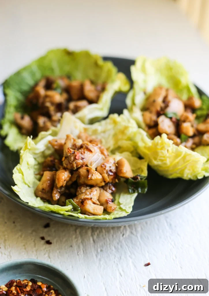 Chopped Chicken Cabbage Wraps