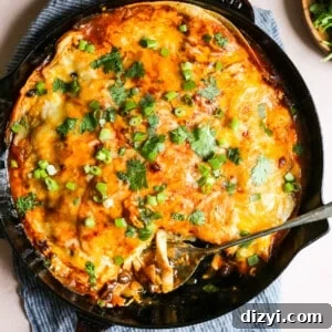 Chipotle Chicken Enchilada Skillet