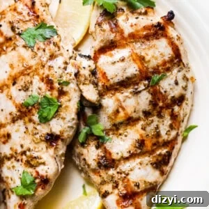 Greek Style Marinated Chicken with Lemon and Oregano 4 img 10963 3