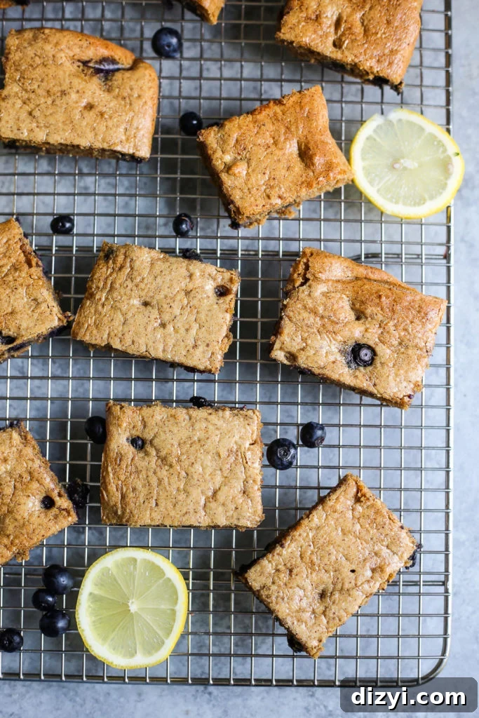 Paleo Blueberry Lemon Breakfast Bars