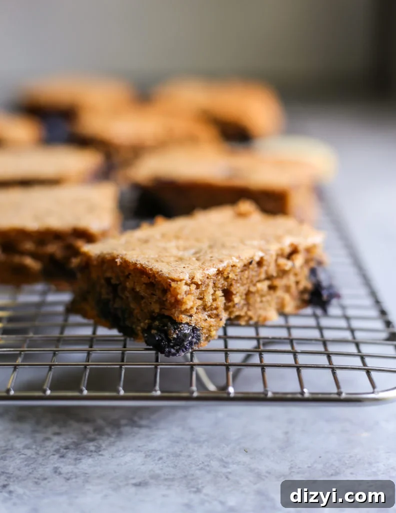 Paleo Blueberry-Lemon Breakfast Bars Recipe 3 Paleo Blueberry Lemon Breakfast Bars