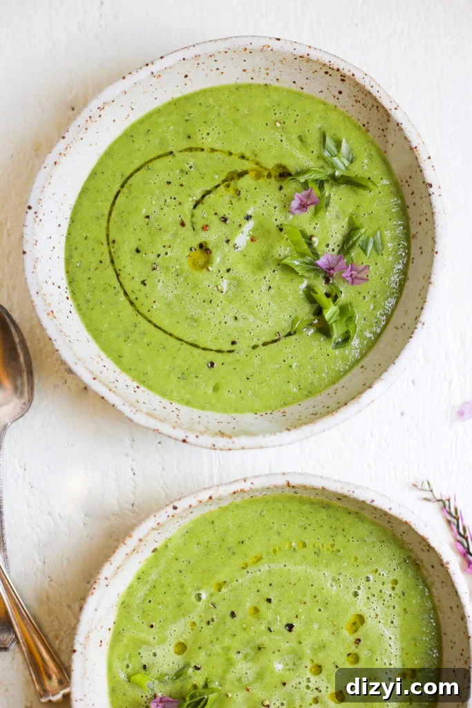 Chilled Cucumber and Basil Gazpacho Recipe 2 Cucumber-Basil Gazpacho