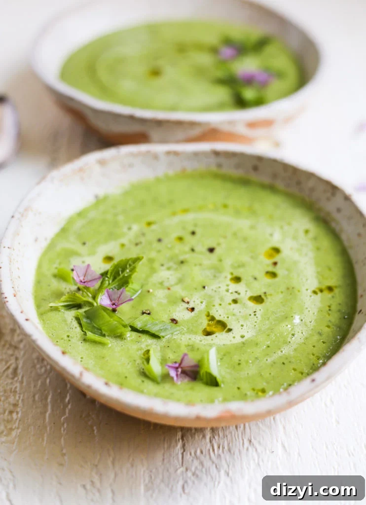 Chilled Cucumber and Basil Gazpacho Recipe 3 Cucumber-Basil Gazpacho