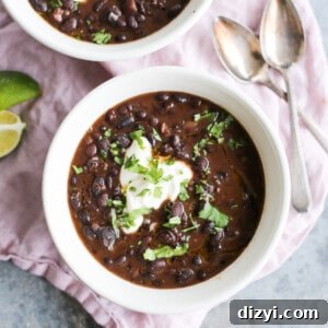 Black bean soup recipe image