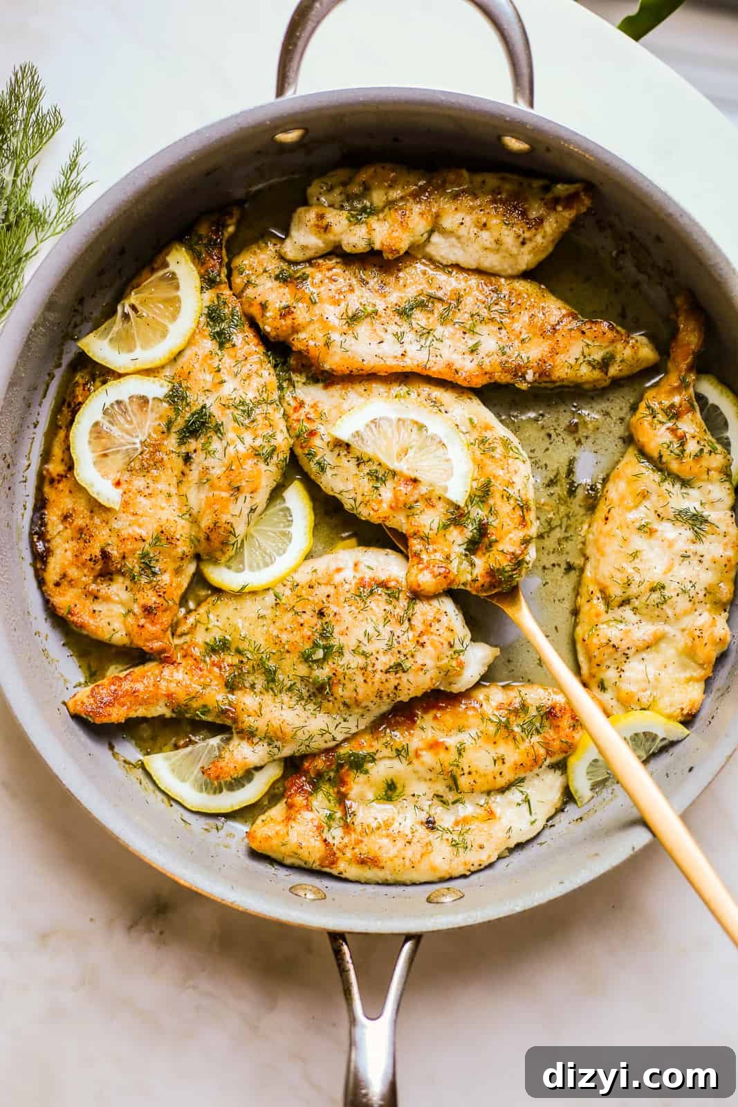 skillet lemon and dill chicken