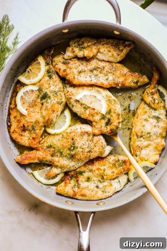 skillet lemon and dill chicken
