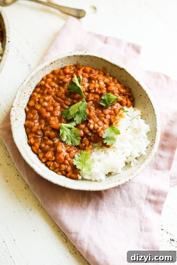 tikka masala lentils