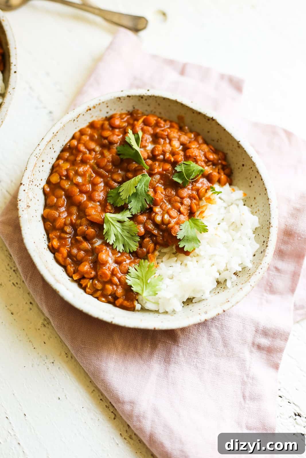 tikka masala lentils