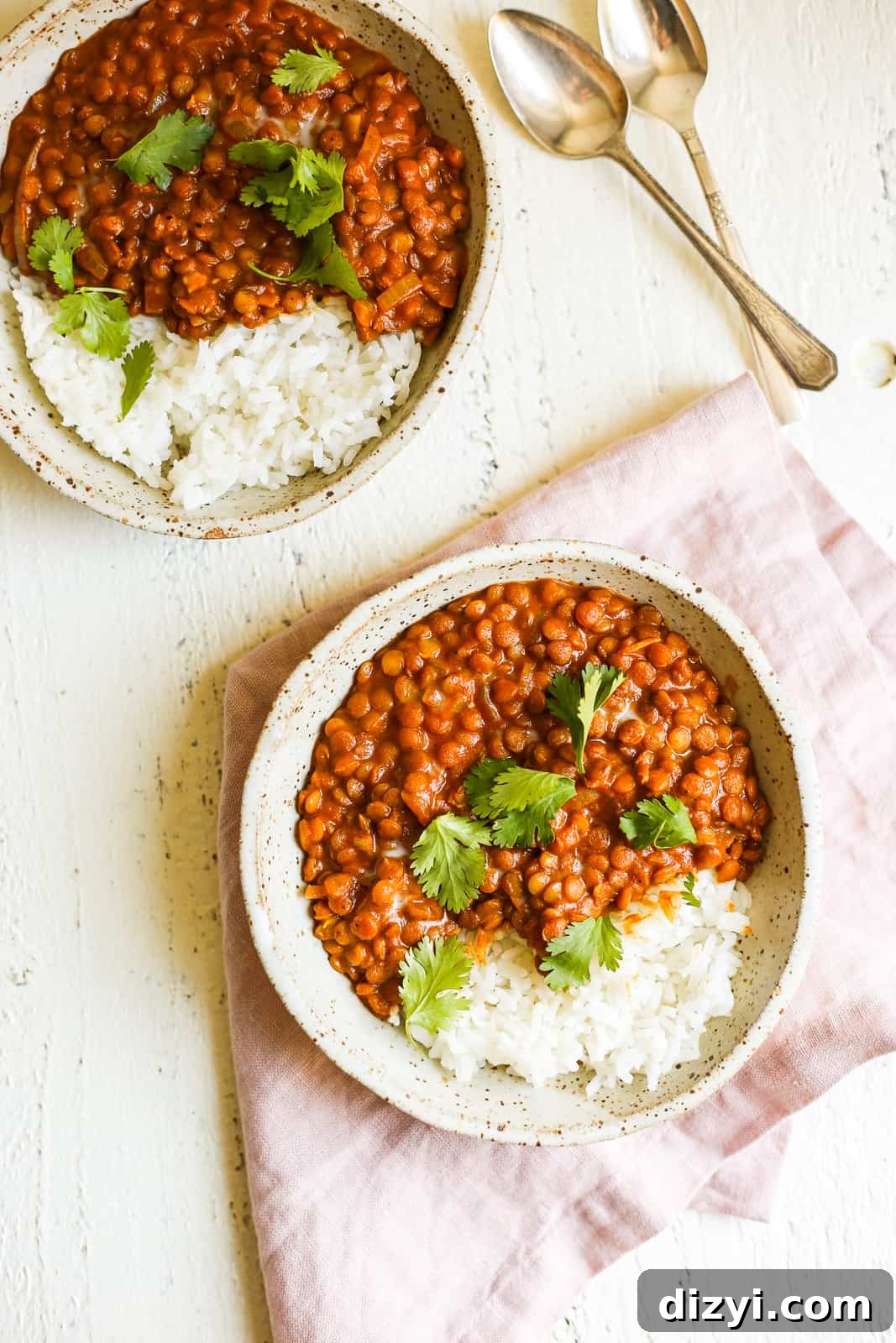 tikka masala lentils