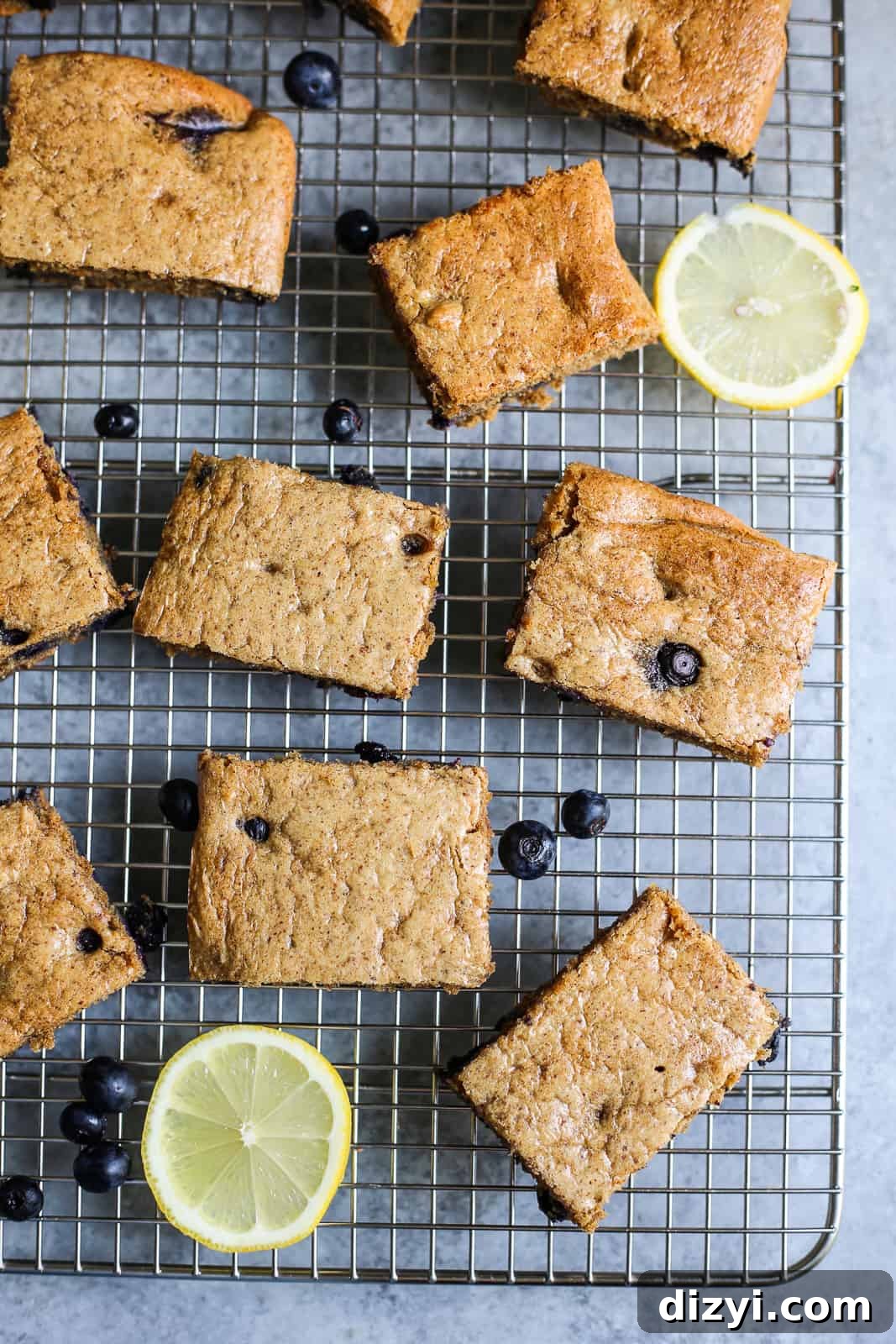 paleo blueberry lemon breakfast bars