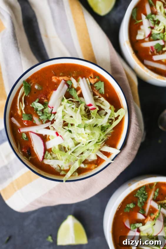 Hearty Soups and Stews Recipes for Every Season 25 chicken enchilada soup