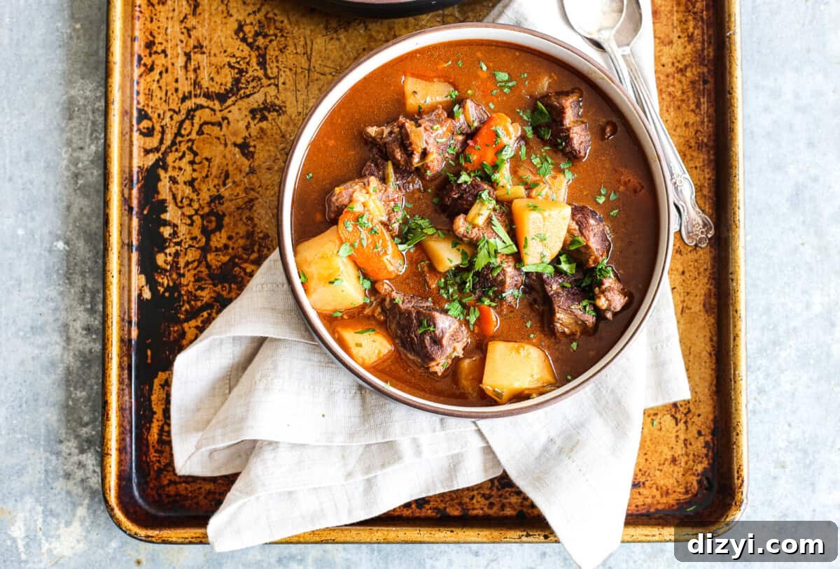 Hearty Soups and Stews Recipes for Every Season 4 instant pot lamb stew