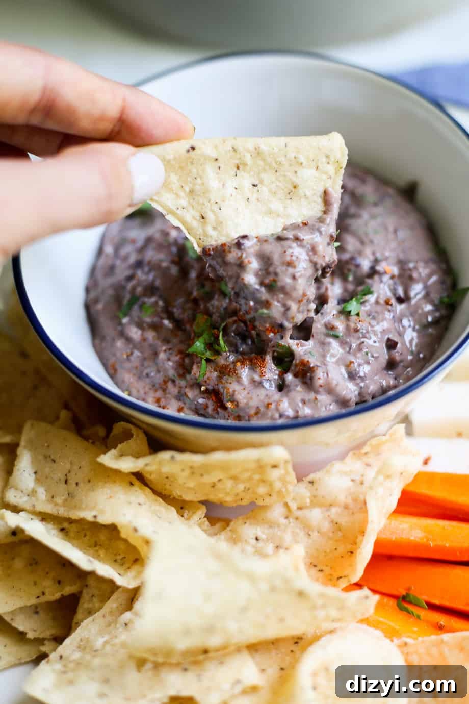 chipotle-lime black bean dip
