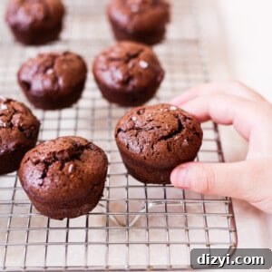 Easy Paleo Protein Brownie Bites