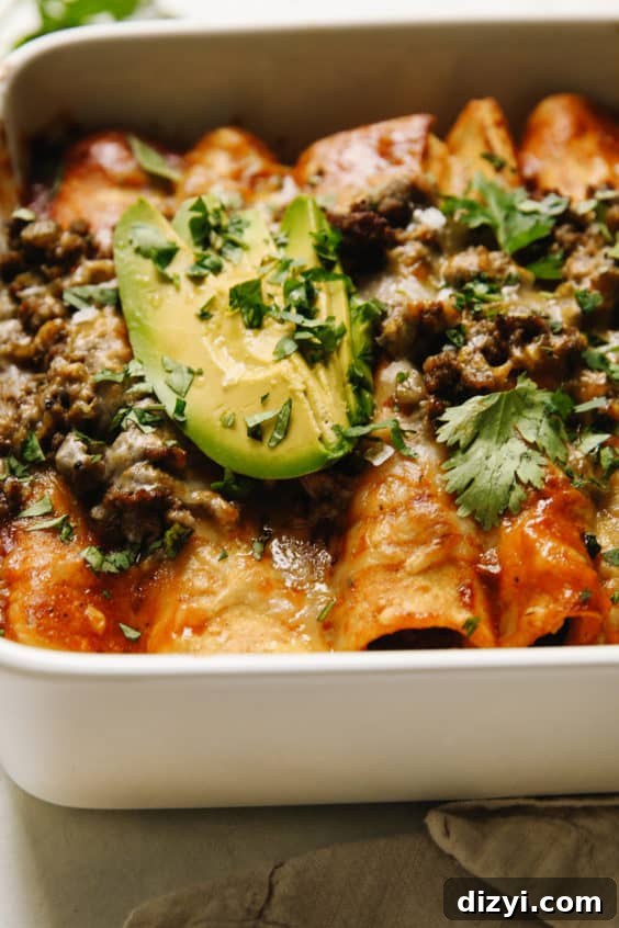 Dinner Drop-Off Service for Busy Families 23 enchiladas con carne