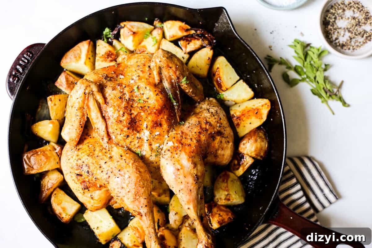 whole roasted greek chicken and potatoes
