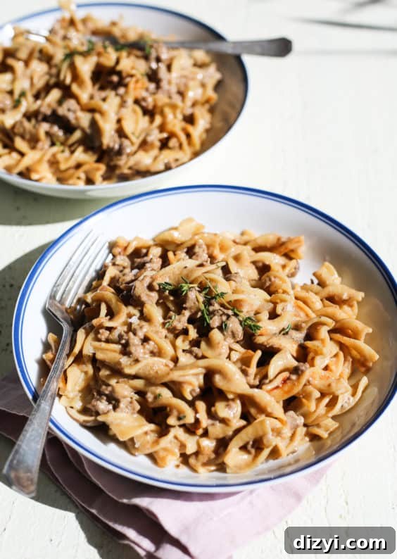 one pot hamburger helper beef stroganoff