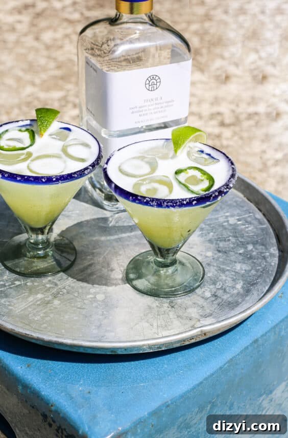 Spicy Skinny Margarita