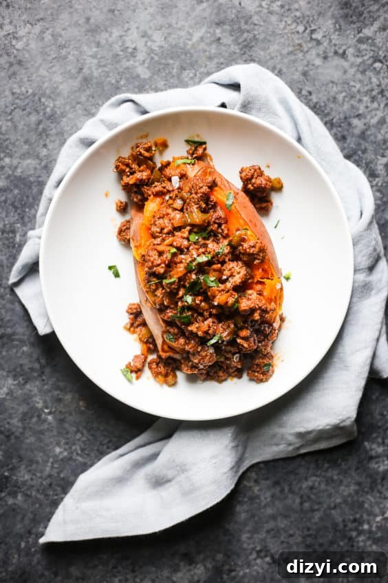 Dish's Favorite Whole30 Dinner Recipes 30 sloppy jane