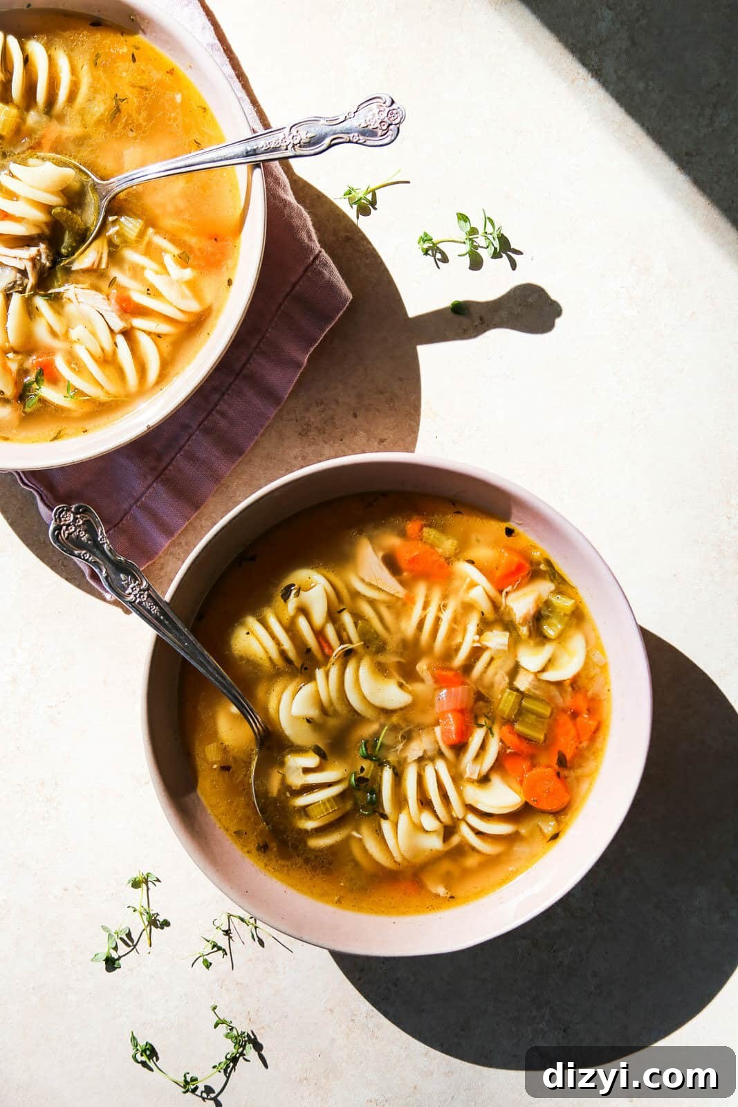 Turkey Noodle Soup