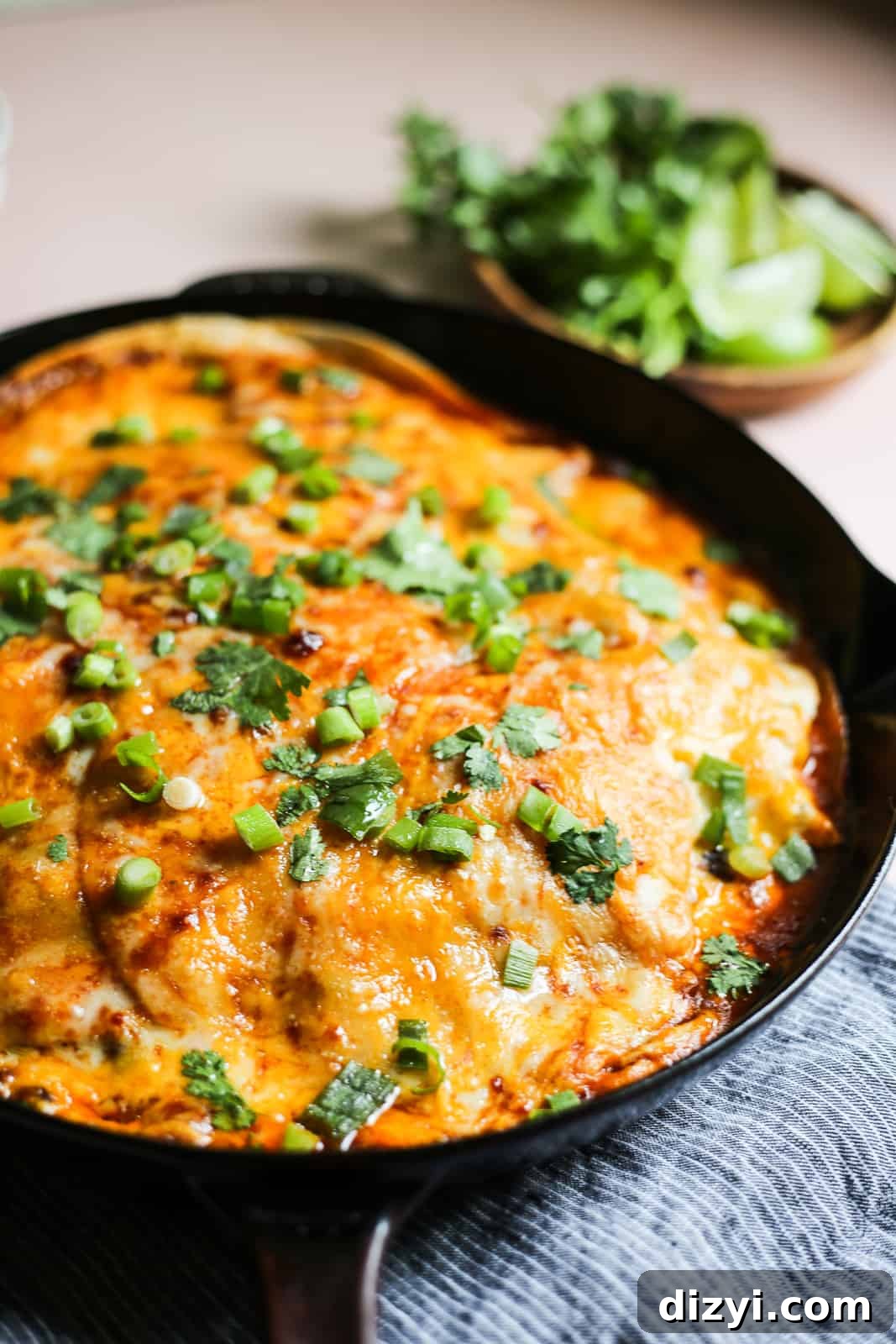 Leftover Turkey Recipes to Reinvent Dinner 13 Chipotle Chicken Enchilada Skillet