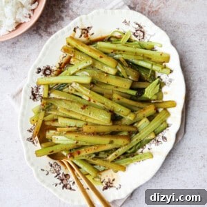 Fiery Stir-Fried Celery with Garlic and Chili 4 Spicy Celery Stir Fry