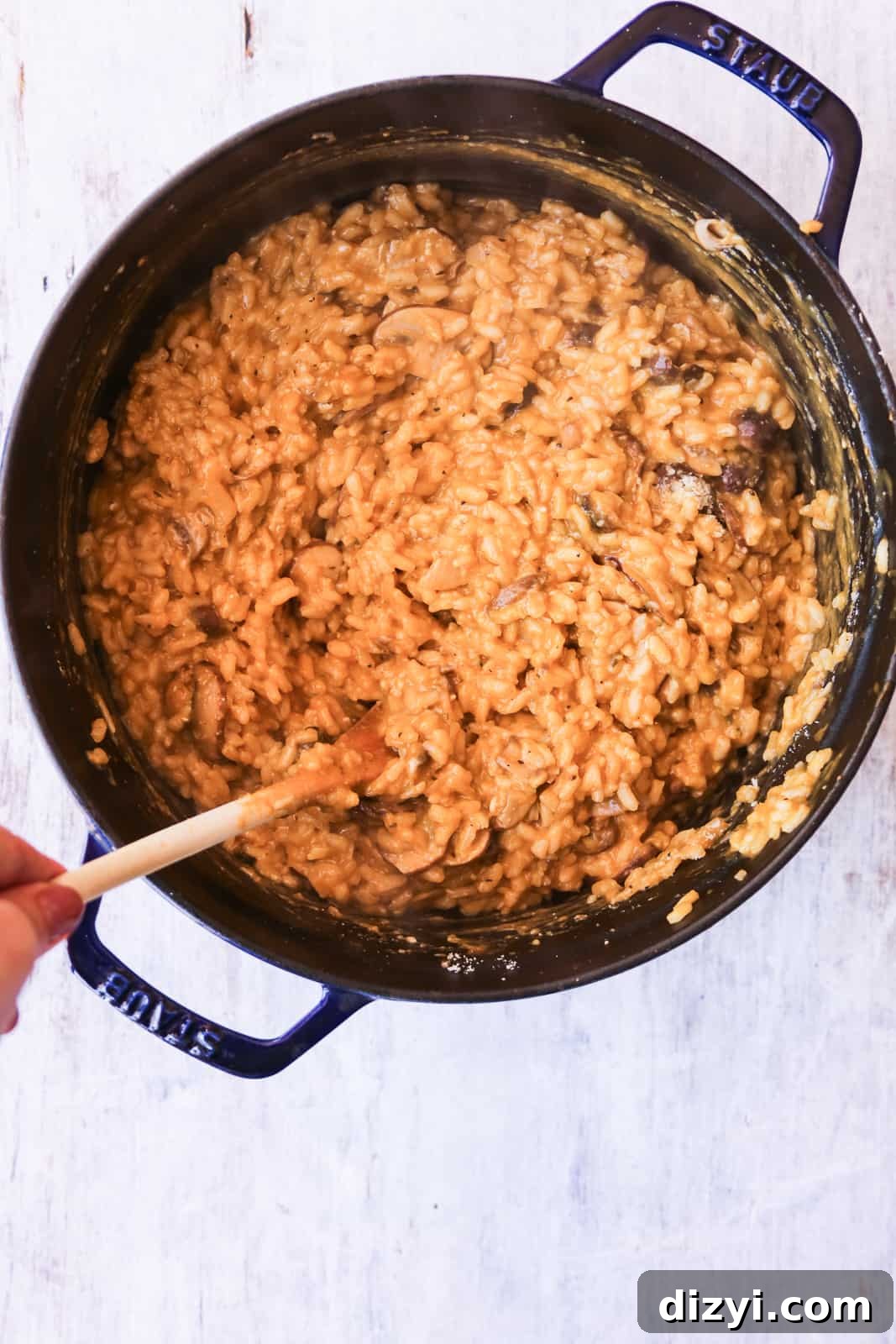 Creamy Mushroom Risotto