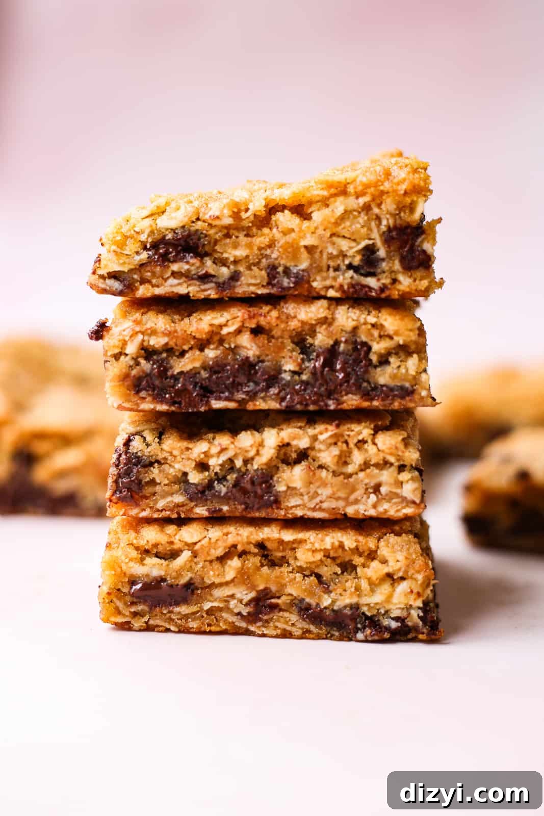 GoGo's Oatmeal Chocolate Chip Bars Recipe 2 GoGo’s Oatmeal Chocolate Chip Bars