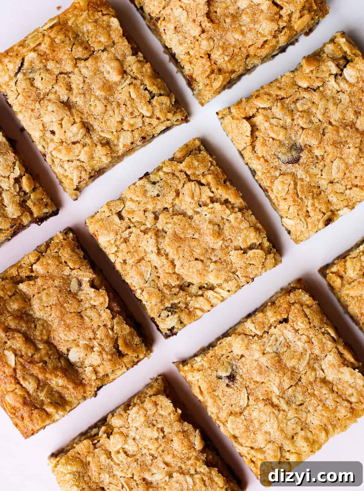 GoGo's Oatmeal Chocolate Chip Bars Recipe 3 GoGo’s Oatmeal Chocolate Chip Bars