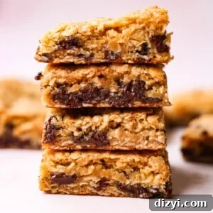 GoGo’s Oatmeal Chocolate Chip Bars