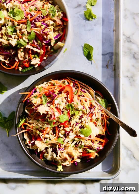 15 Quick Rotisserie Chicken Recipes to Try Tonight 21 img 17278 20