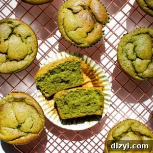 Spinach and Banana Blender Muffins