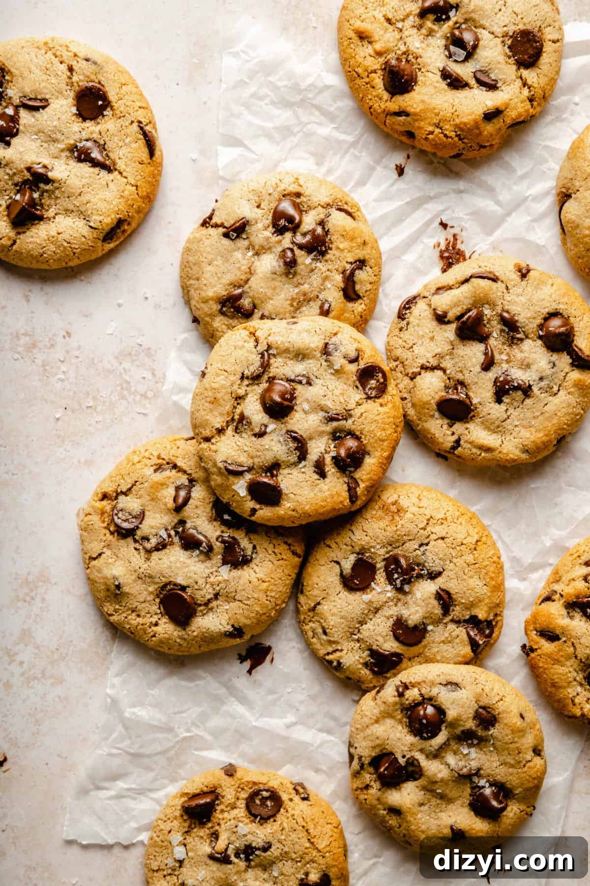 Chewy Paleo Chocolate Chip Cookies, Grain-Free 2 perfect paleo chocolate chip cookies