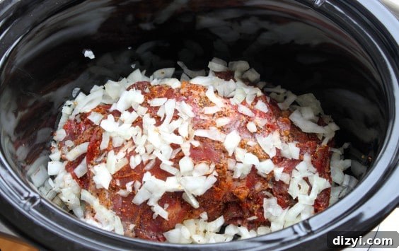 Slow Cooker Skirt Steak Recipe: Tender and Flavorful 4 IMG_3991