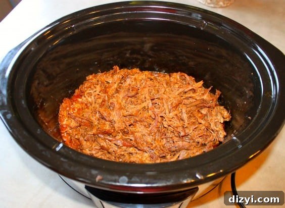 Slow Cooker Skirt Steak Recipe: Tender and Flavorful 5 IMG_4014