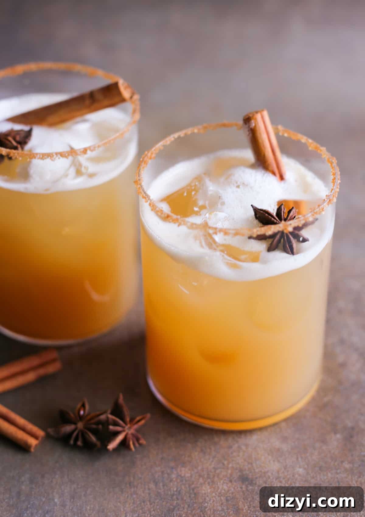 Spiced Apple Cider Margarita