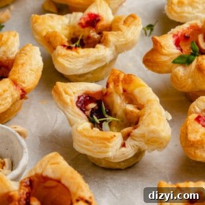 Cranberry Brie Bites