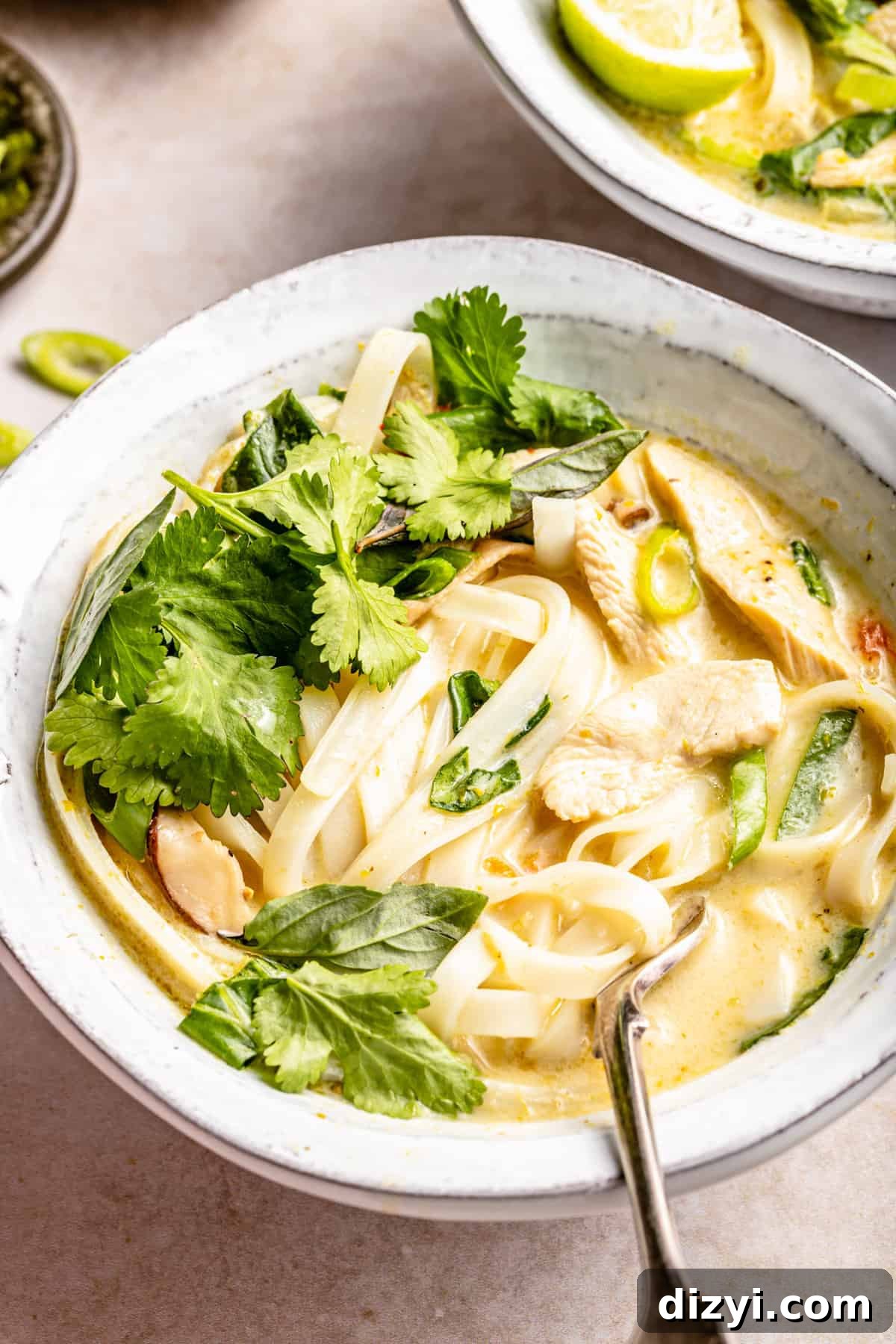 Chicken noodle soup in small white stoneware bowl and topped with lots of herbs.