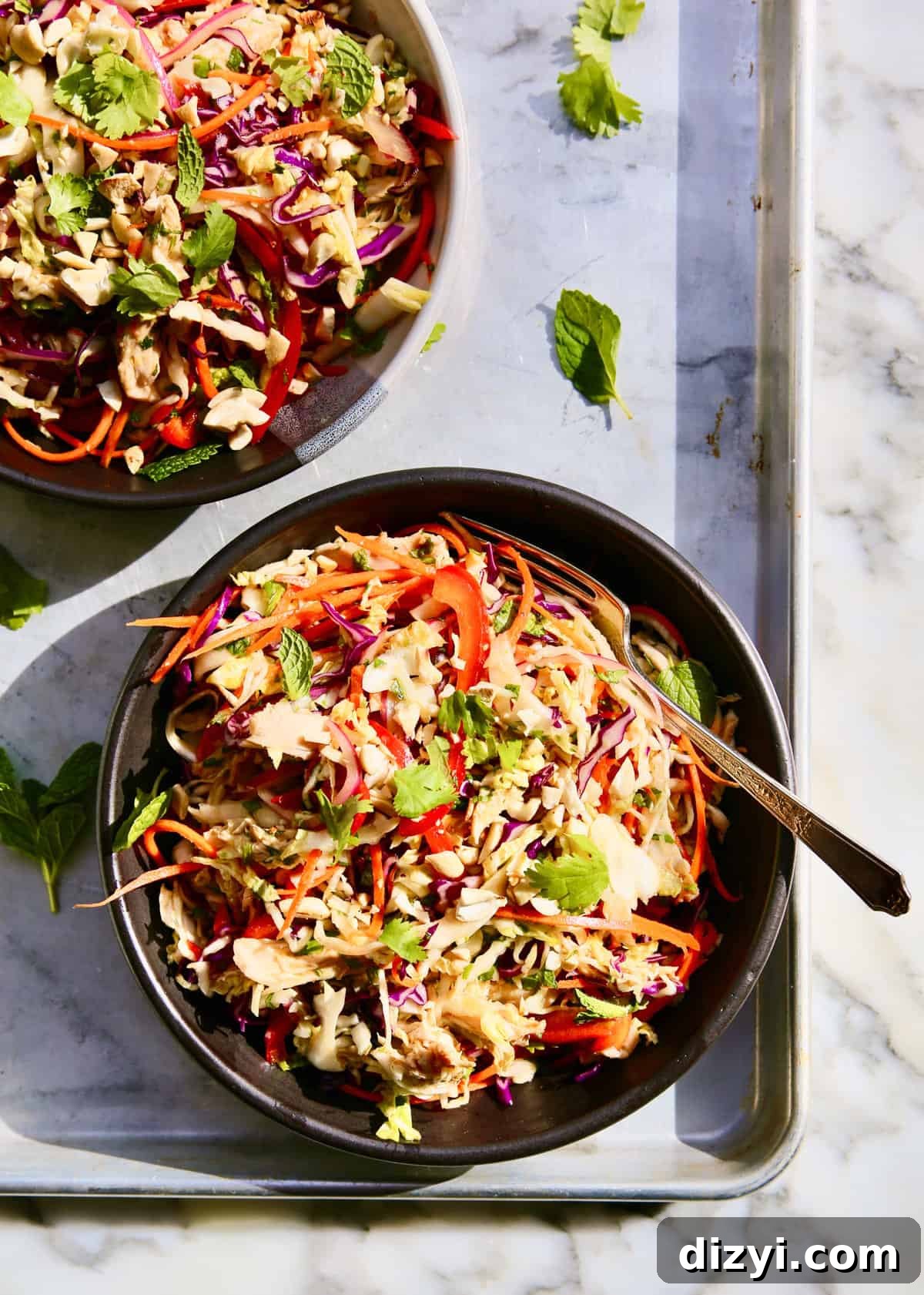 Vietnamese Shredded Chicken Salad with Nuoc Cham Dressing 2 Vietnamese-Inspired Shredded Chicken Salad