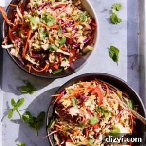 Vietnamese Shredded Chicken Salad with Nuoc Cham Dressing 3 Recipe thumbnail