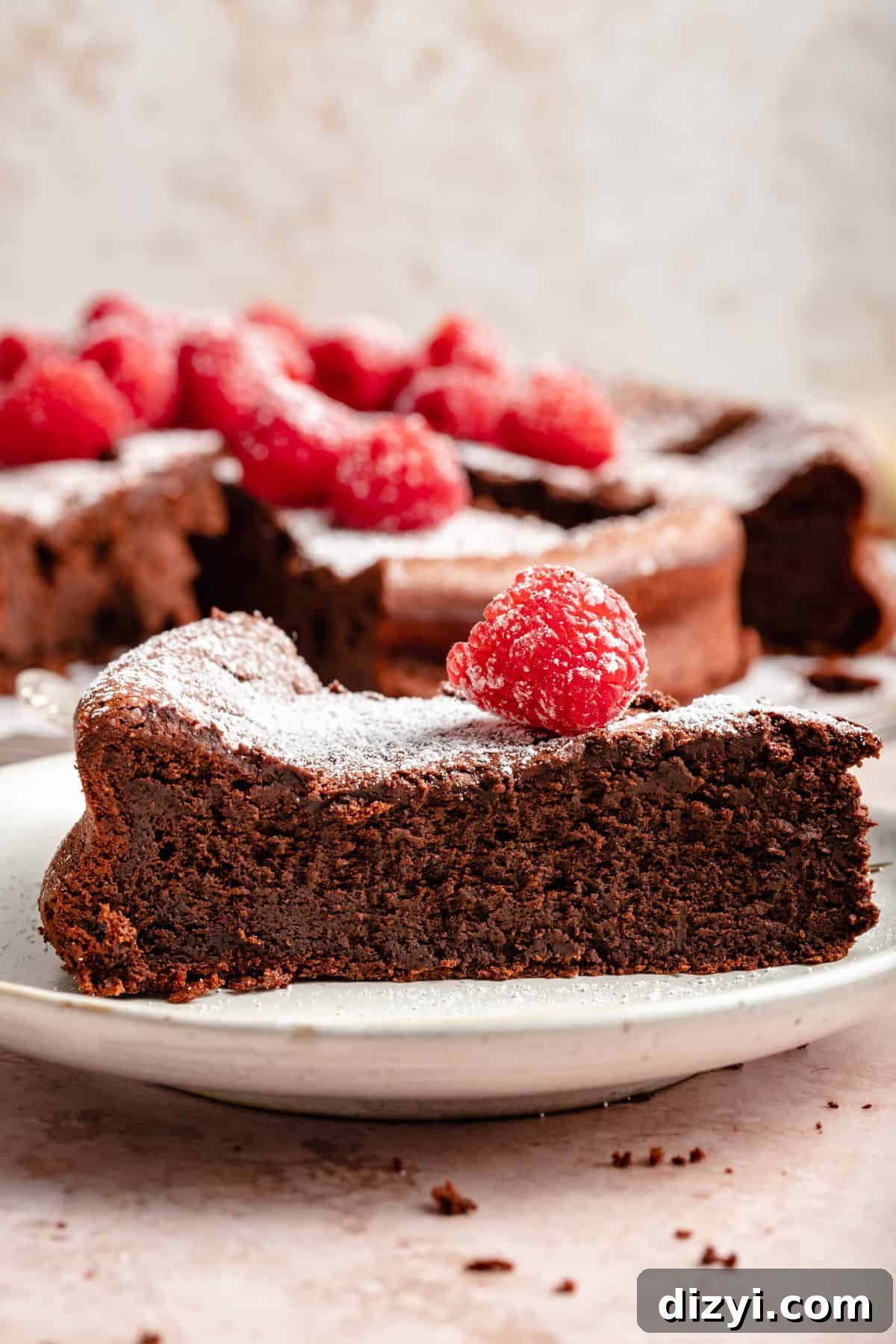 Flourless Fallen Chocolate Cake - sliced