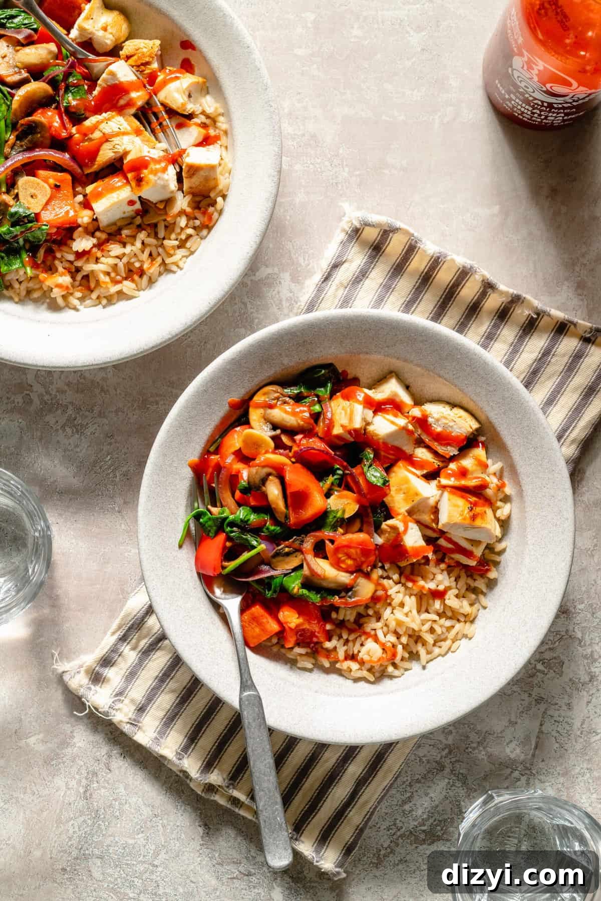 ZaZa Chicken and Rice Bowl Recipes: Flavor-Packed Ideas 2 zaza rice bowls